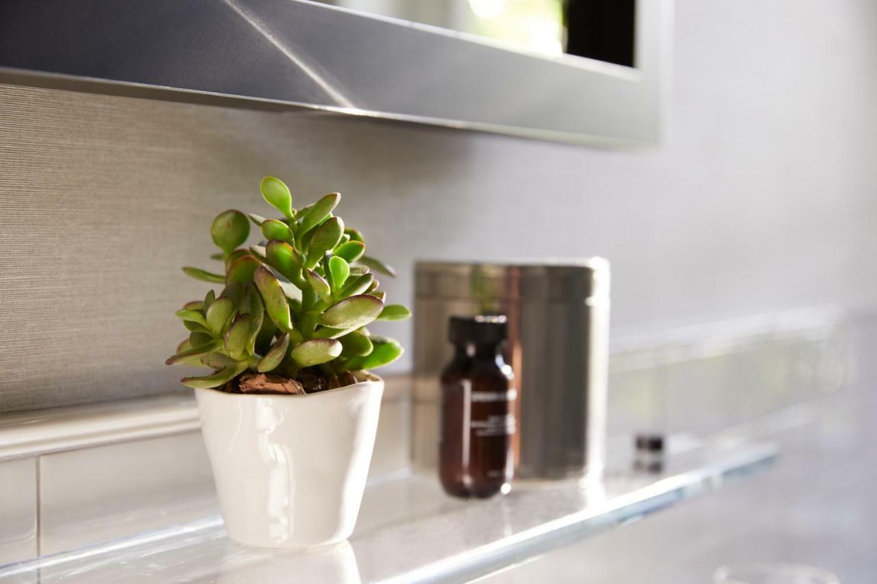 The Whitney Hotel Boston Exteriér fotografie A small plant in a kitchen